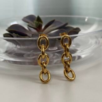 pantallas_glory_ibis_raquel